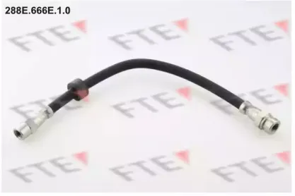 288E.666E.1.0 FTE