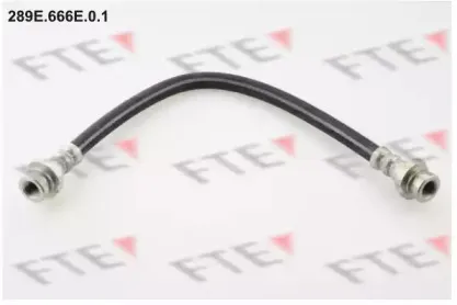 fte-289e666e01