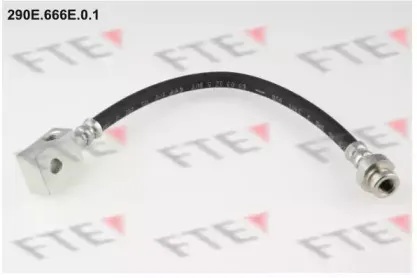 fte-290e666e01
