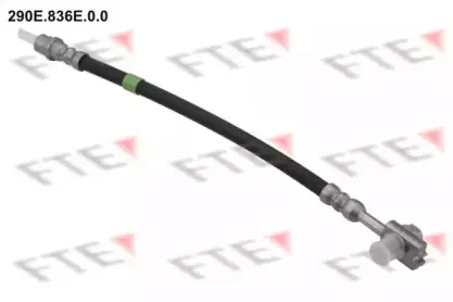 fte-290e836e00