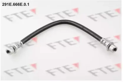 fte-291e666e01
