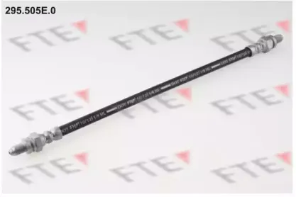 295.505E.0 FTE