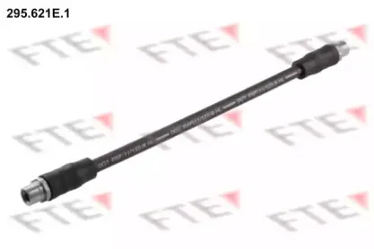 295.621E.1 FTE