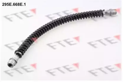 295E.668E.1 FTE