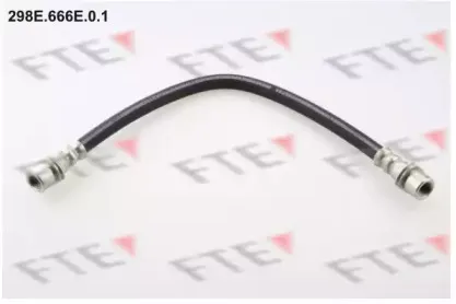 298E.666E.0.1 FTE