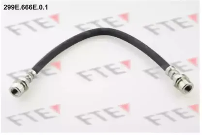 fte-299e666e01