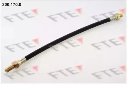 fte-3001700