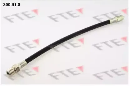 fte-300910