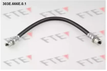 fte-303e666e01