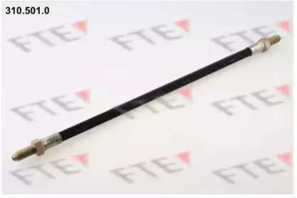 fte-3105010