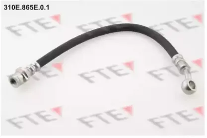 fte-310e865e01
