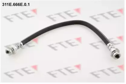 fte-311e666e01