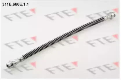 fte-311e666e11