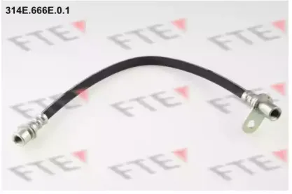 fte-314e666e01