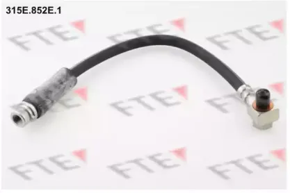 fte-315e852e1
