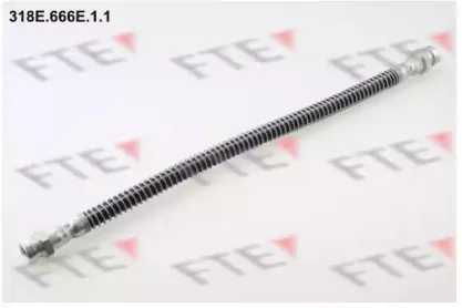 fte-318e666e11
