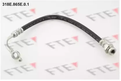 fte-318e865e01