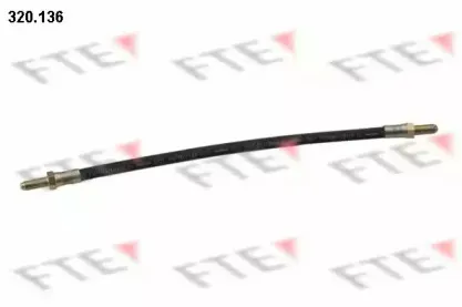 fte-320136