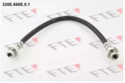 fte-320e666e01