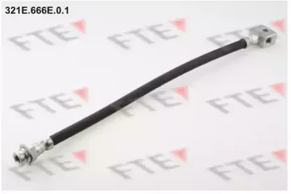 fte-321e666e01