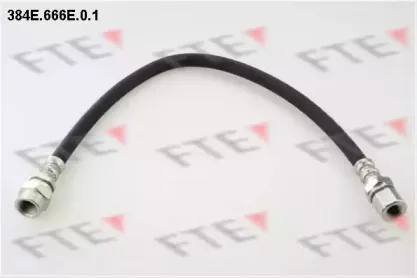 fte-384e666e01