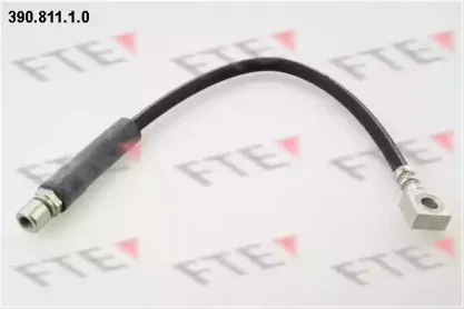 fte-39081110