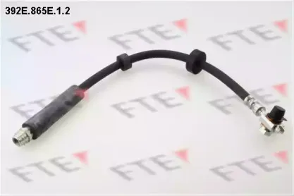 fte-392e865e12