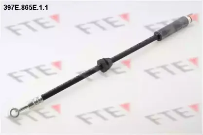 fte-397e865e11