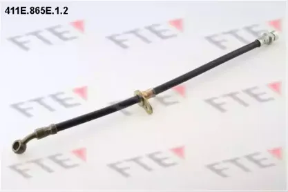 fte-411e865e12