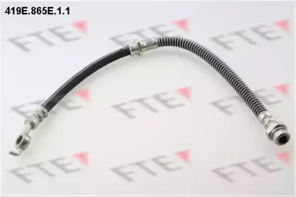 fte-419e865e11