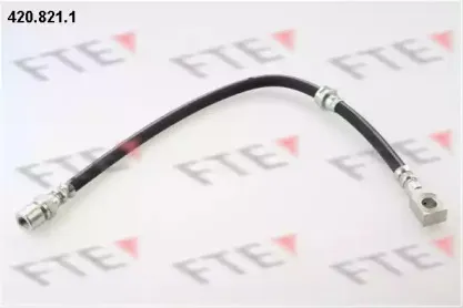 fte-4208211