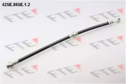fte-425e865e12