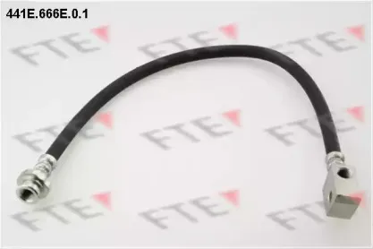 fte-441e666e01