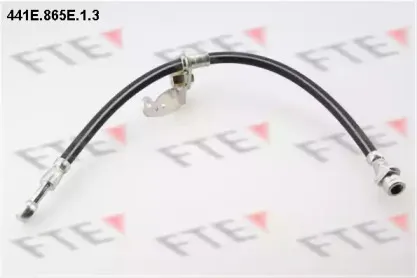 fte-441e865e13