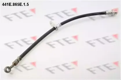 fte-441e865e15