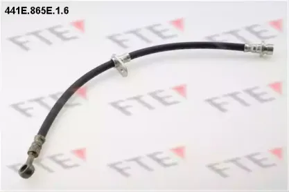fte-441e865e16