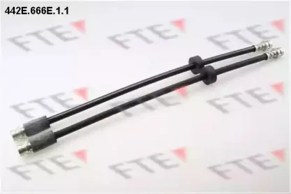 fte-442e666e11