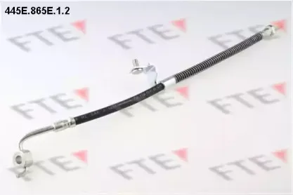 fte-445e865e12