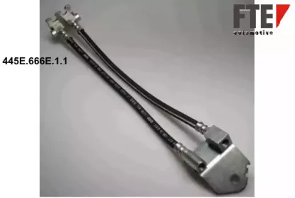 fte-445e666e11