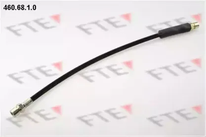 460.68.1.0 FTE