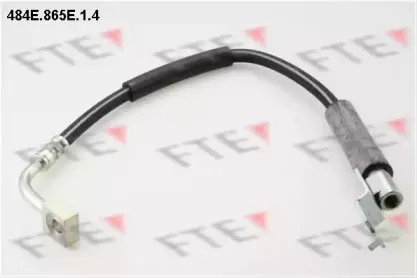 fte-484e865e14