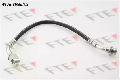 fte-490e865e12