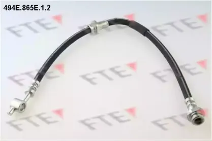 fte-494e865e12