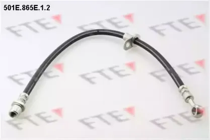 fte-501e865e12
