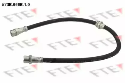 fte-523e666e10