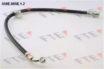 fte-556e865e12