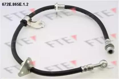 fte-672e865e12