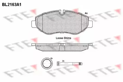 BL2163A1 FTE