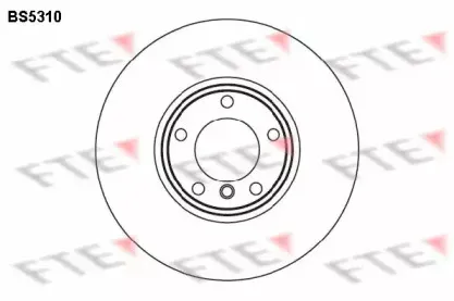 BS5310 FTE