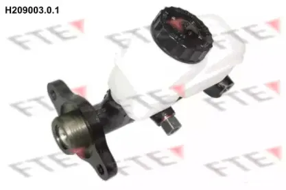 fte-h20900301